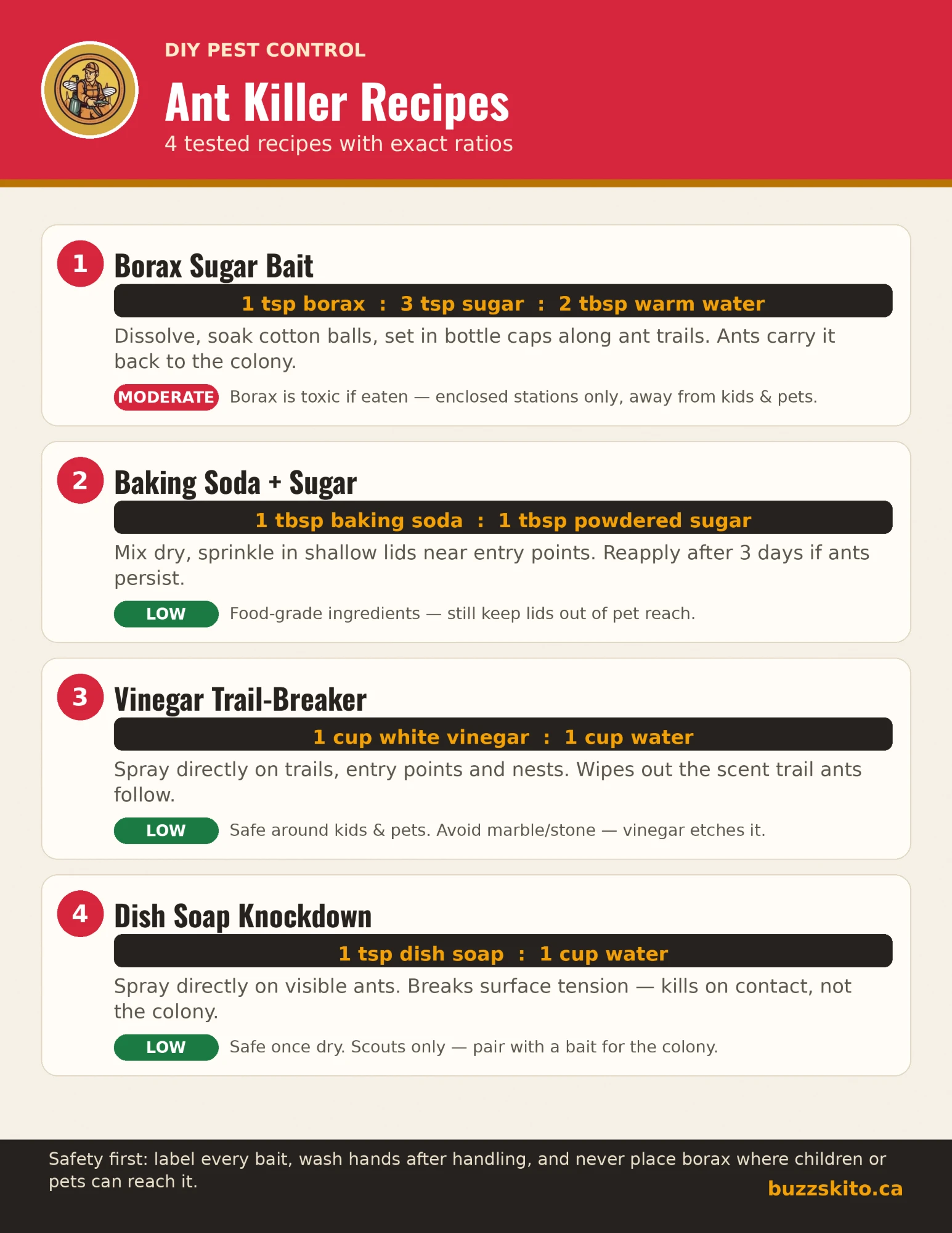 One-page infographic titled Ant Killer Recipes showing four homemade mixes, each with a ratio and a safety tag: a borax, sugar and warm water bait on cotton balls, a baking soda and powdered sugar mix, a 1:1 white vinegar and water spray, and a dish soap and water spray. A footer reminds readers to label baits and keep borax away from children and pets.