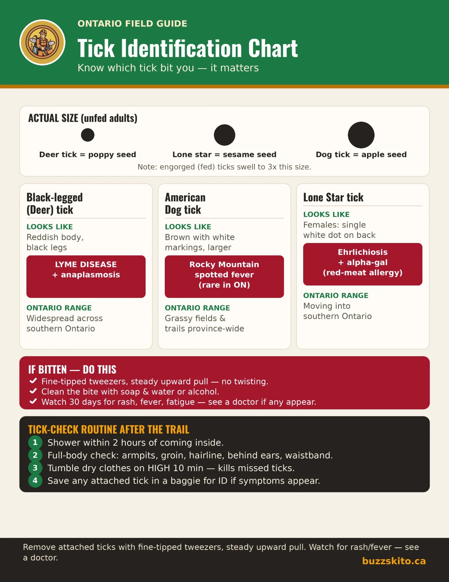 One-page tick identification chart. An actual-size strip compares deer, lone star and dog ticks to seeds. Three panels give the look, diseases and Ontario range of the black-legged (deer) tick, American dog tick and lone star tick. A red box lists what to do if bitten, and a four-step tick-check routine closes the page.