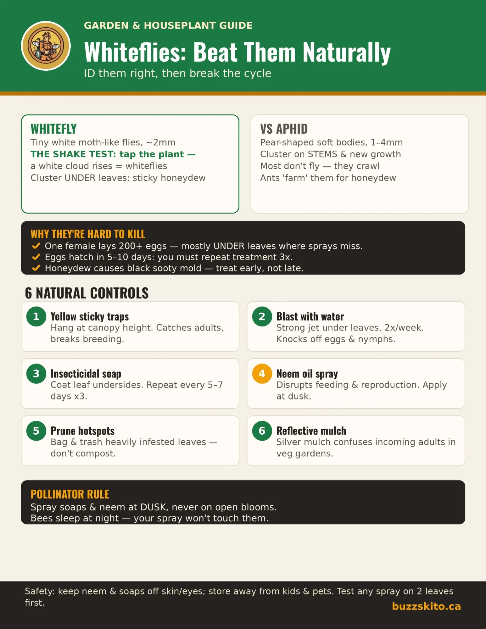 One-page infographic titled Whiteflies: Beat Them Naturally. It shows how to identify a whitefly with the shake test, how it differs from an aphid, why whiteflies are hard to kill, and six natural controls: yellow sticky traps, a water blast, insecticidal soap, neem oil spray, pruning hotspots and reflective mulch. A pollinator rule and a safety footer close the page.