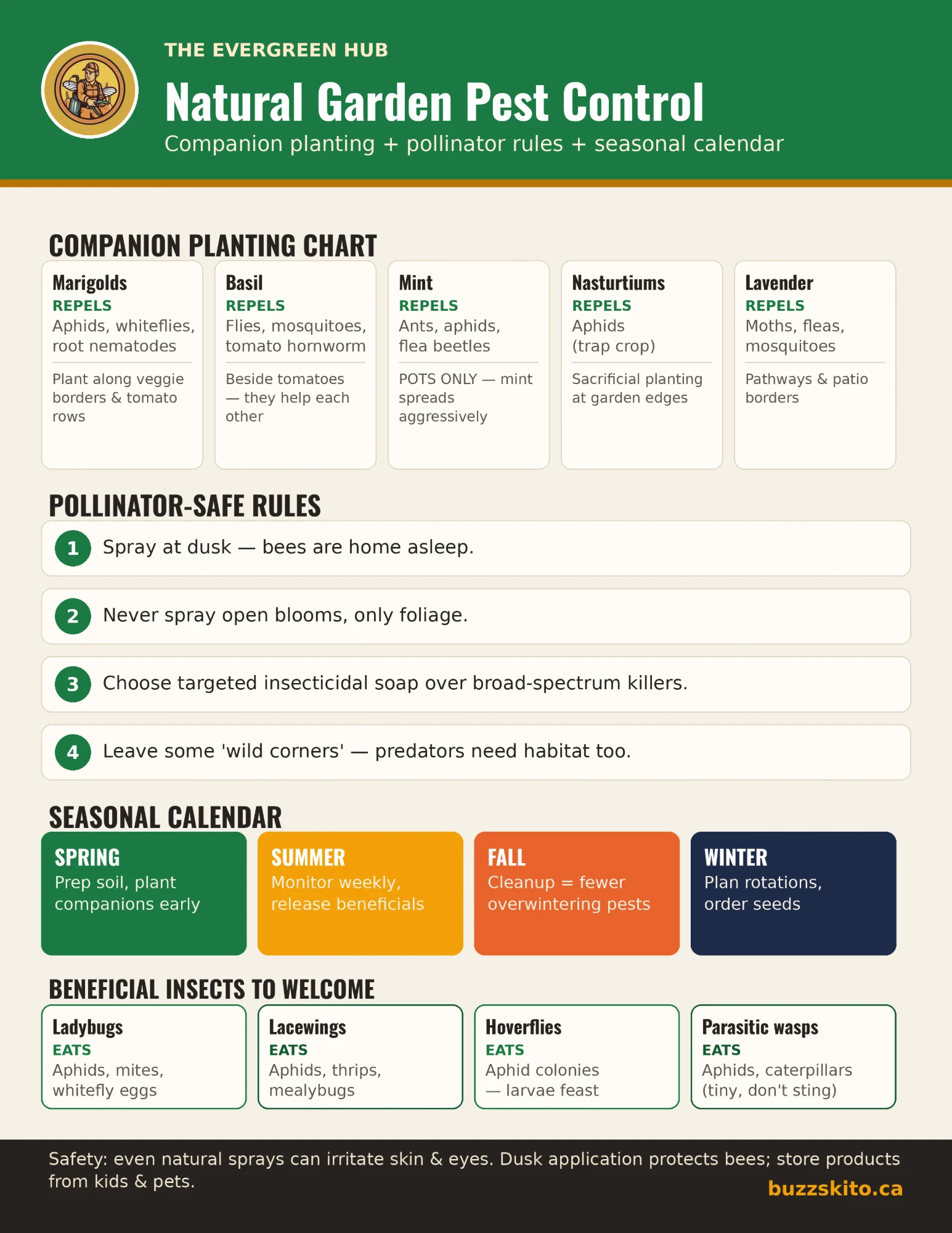Infographic titled Natural Garden Pest Control with four panels: a companion planting chart for marigolds, basil, mint, nasturtiums and lavender; four pollinator rules for spraying; a seasonal calendar for spring, summer, fall and winter; and four beneficial insects to welcome (ladybugs, lacewings, hoverflies and parasitic wasps). A footer warns that natural sprays can irritate skin and eyes.