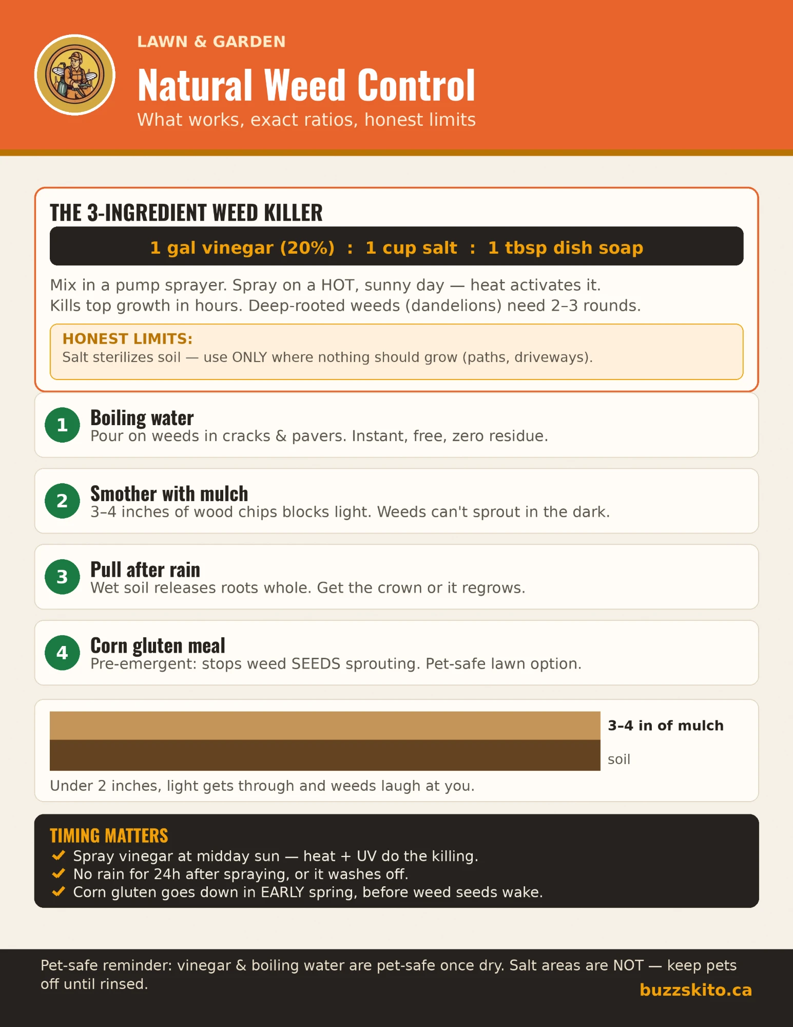One-page infographic titled Natural Weed Control. A recipe box gives The 3-Ingredient Weed Killer as 1 gallon of 20% vinegar, 1 cup of salt and 1 tablespoon of dish soap, with a warning that salt harms soil. Four numbered methods follow: boiling water, smothering with 3 to 4 inches of mulch, pulling after rain and corn gluten meal. A timing box and a pet reminder close the page.