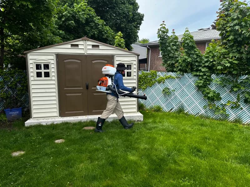 BuzzSkito technician applying mosquito barrier spray to a GTA backyard