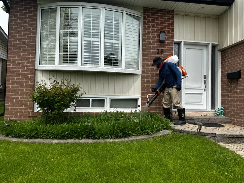 BuzzSkito technician treating lawn edges and garden borders for ticks