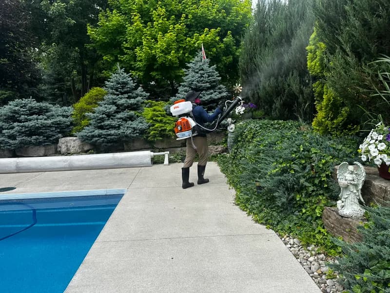 BuzzSkito technician applying barrier spray beside a backyard pool
