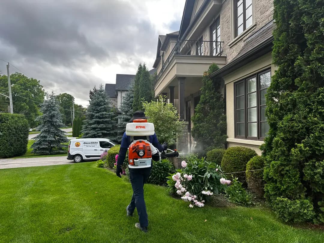 Branded BuzzSkito service van parked in a GTA driveway while a technician prepares equipment