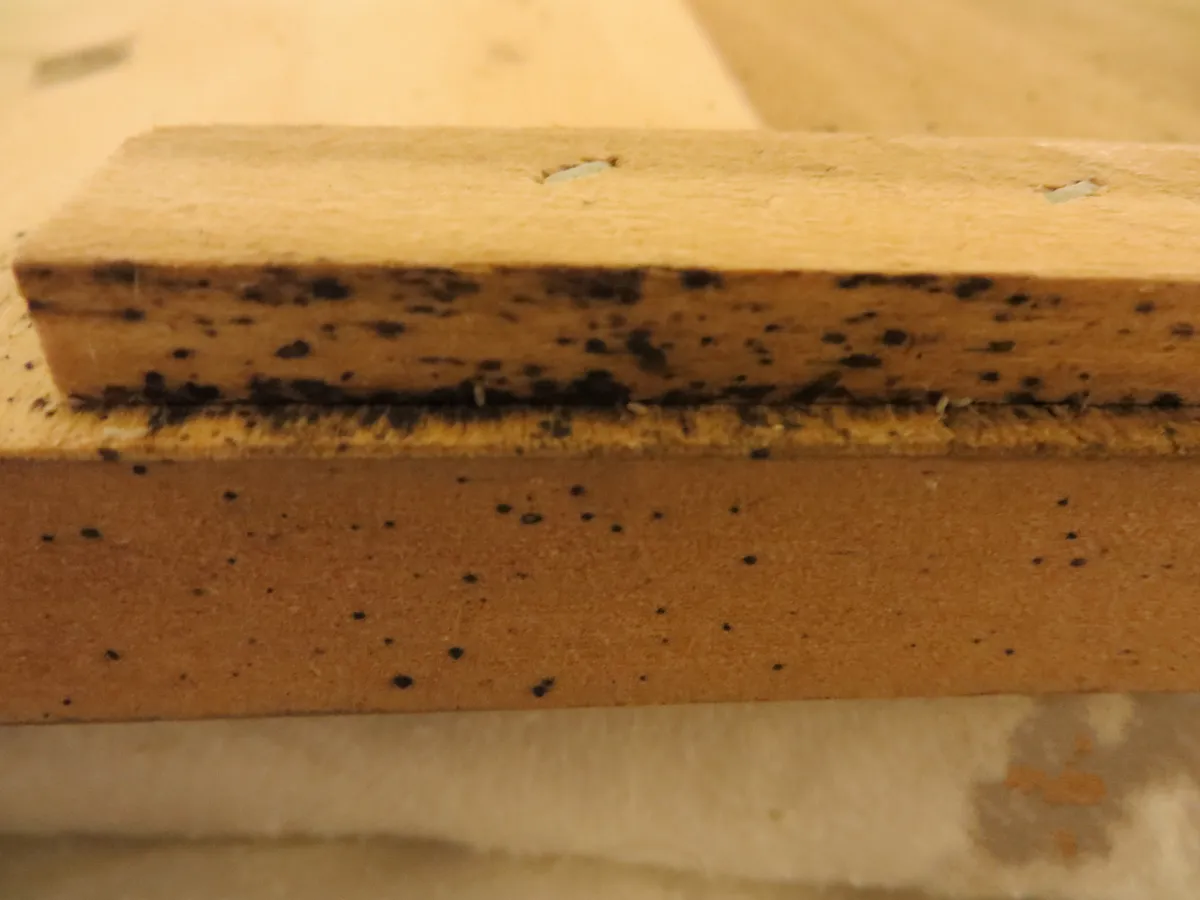 Edge of a light wooden bed-frame slat speckled with black spots, densest in a dark band along the joint with the board below