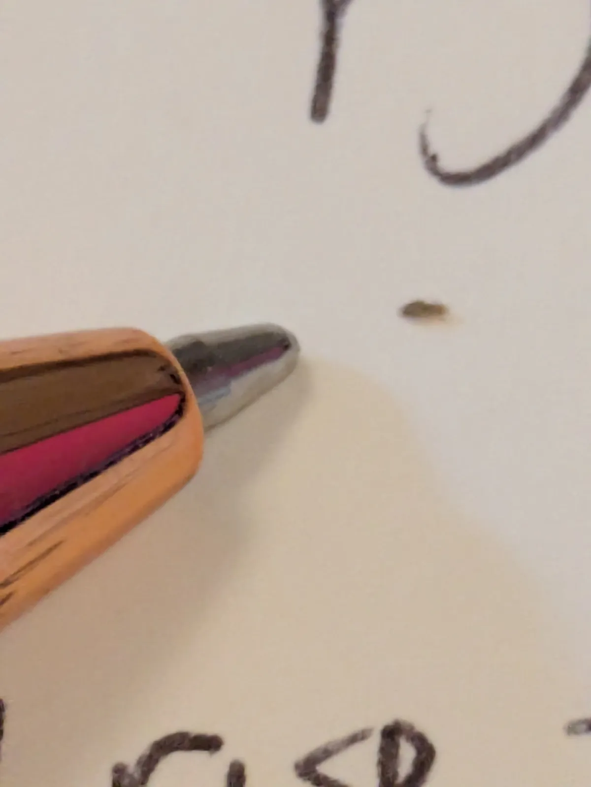 A tiny pale brown speck, a booklouse, on a handwritten page just beyond the tip of a ballpoint pen