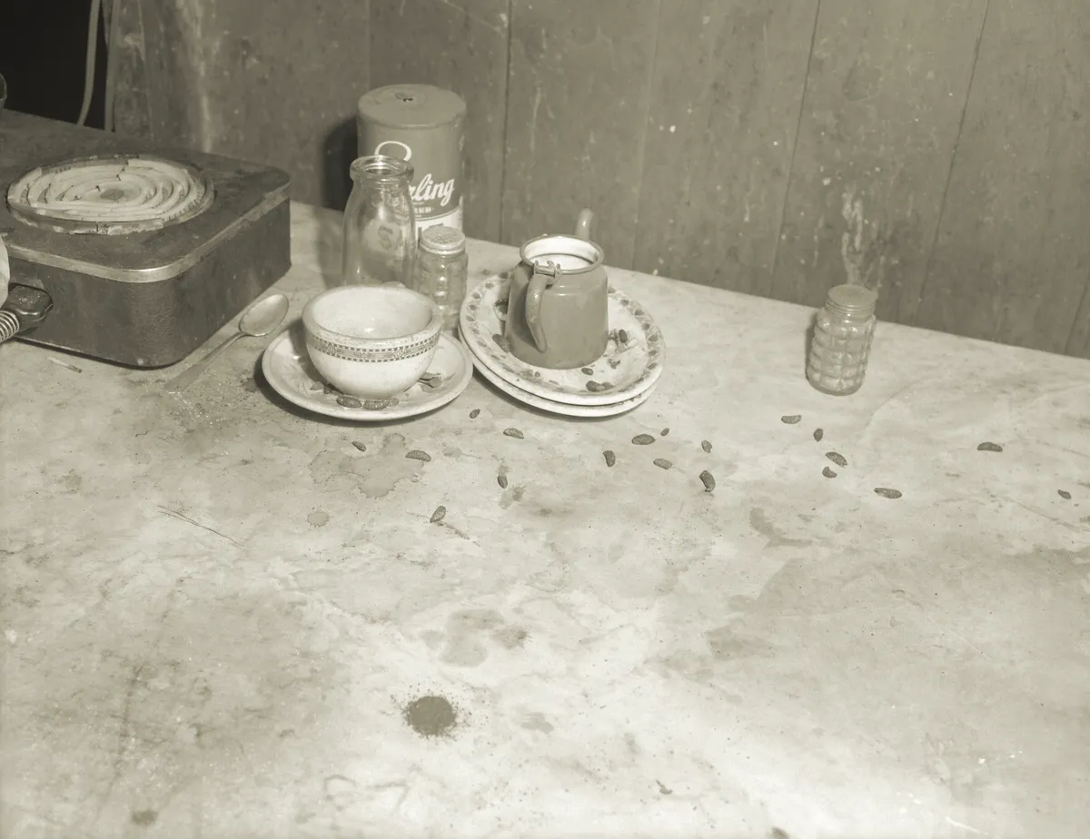 Sepia photograph of a tabletop with an electric burner, condiment jars, a cup and stacked saucers, with many dark rat droppings scattered across the surface