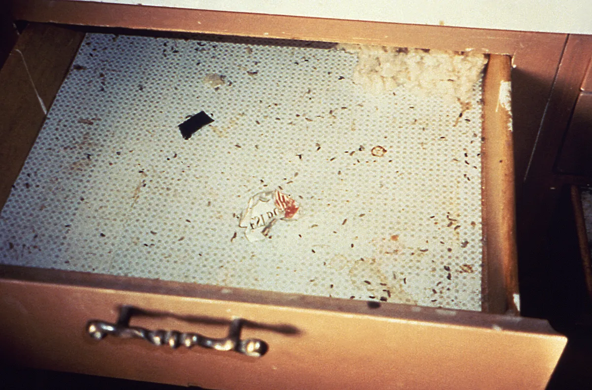 Open wooden cupboard drawer lined with white dotted shelf paper, scattered with many small dark droppings, with fluffy material in the far corner
